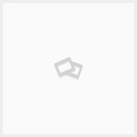 Arecont Vision